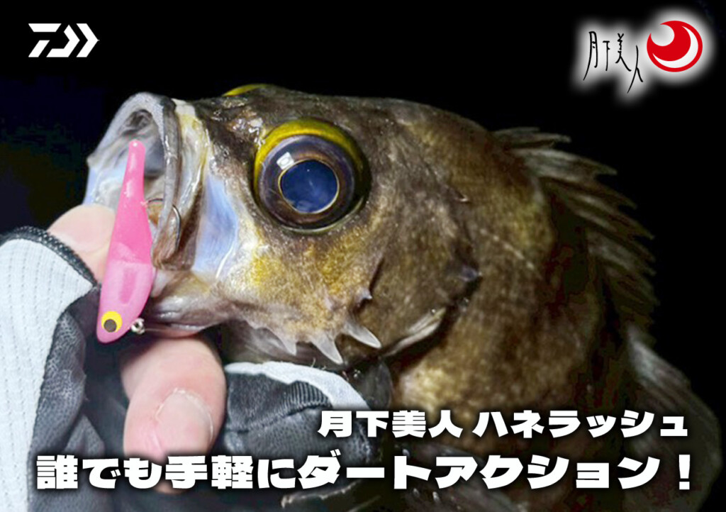 Daiwa Gekka Bijin Hane Rush