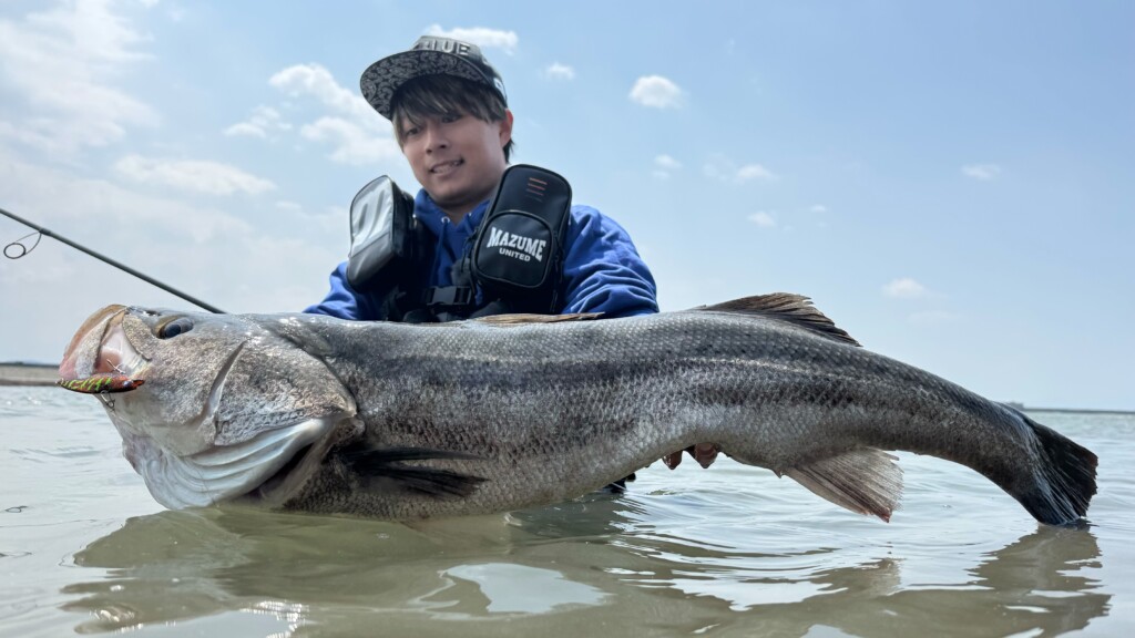 Varivas Avani Seabass